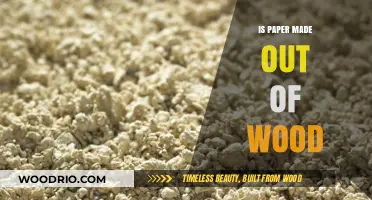 Unveiling the Truth: Is Paper Really Made Out of Wood?