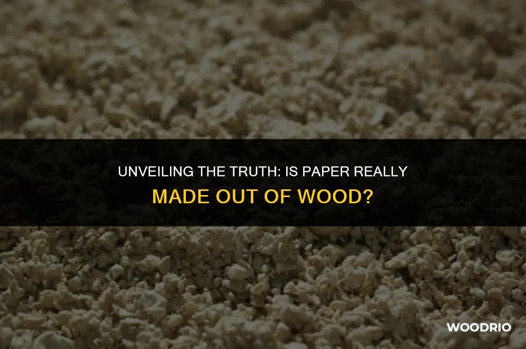 is paper made out of wood
