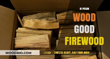 The Ultimate Guide to Using Pecan Wood as Firewood