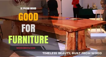 Crafting Timeless Pieces: The Allure of Pecan Wood Furniture