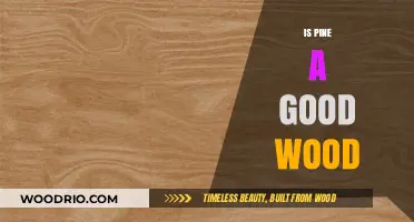 Exploring Pine's Potential: Is It the Right Wood for Your Project?