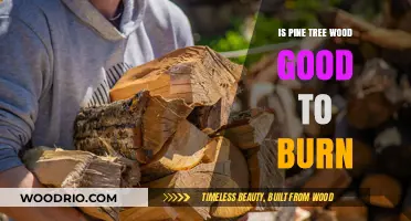 The Ideal Firewood: Exploring the Benefits of Pine Tree Wood