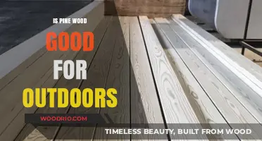 Durability Unveiled: Is Pine Wood a Suitable Choice for Outdoor Projects?