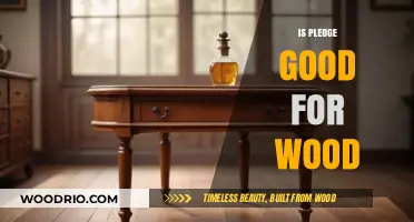 Exploring the Benefits and Drawbacks of Pledge for Wood Care