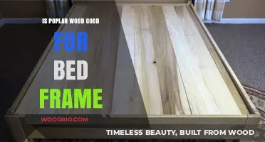 Is Poplar Wood a Good Choice for Your Bed Frame?