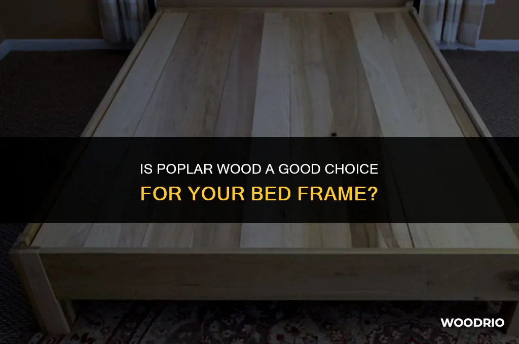 is poplar wood good for bed frame