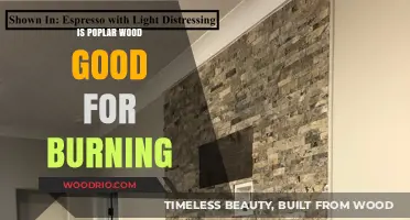 The Ideal Burn: Exploring Poplar Wood's Suitability for Your Fireplace