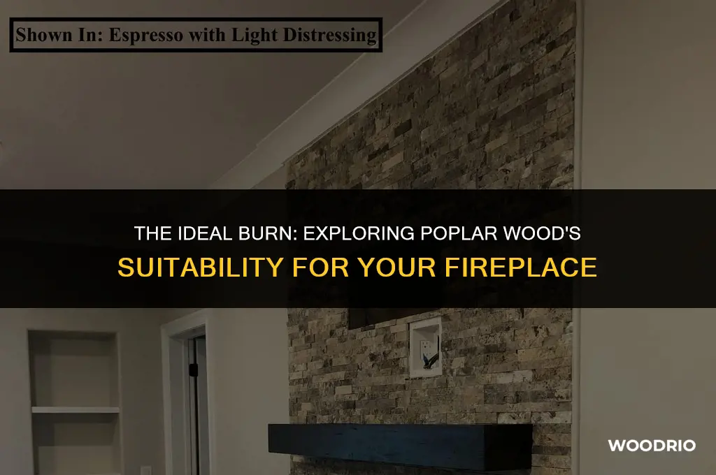 is poplar wood good for burning