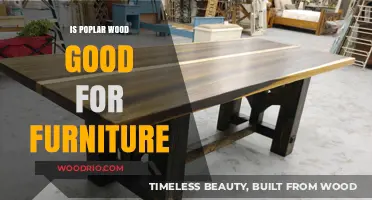 Exploring Poplar Wood: A Sustainable Choice for Furniture Making