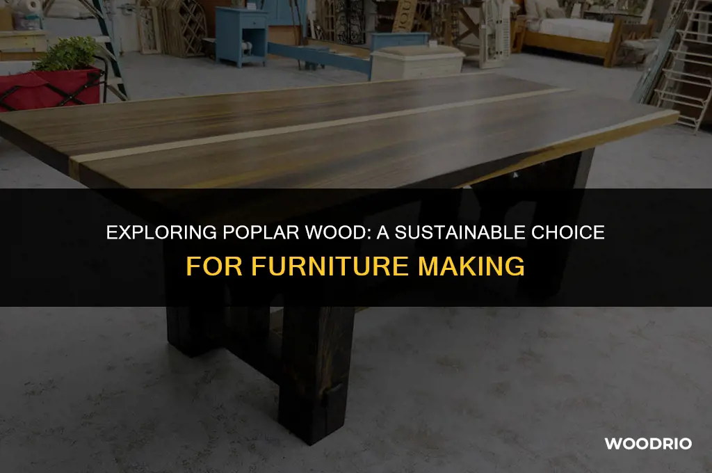 is poplar wood good for furniture