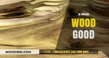 Exploring the Qualities and Uses of Poplar Wood: A Comprehensive Guide