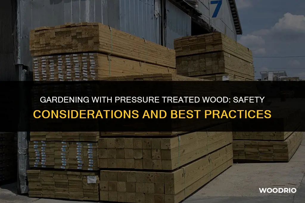 is pressure treated wood safe for gardens