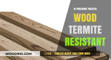 Deciphering the Durability: Is Pressure Treated Wood Termite Resistant?