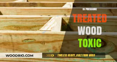 Unveiling the Truth: Is Pressure Treated Wood Toxic?
