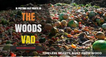 Is Discarding Old Fruits in the Woods Environmentally Harmful or Helpful?