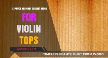 Exploring Violin Top Woods: Spruce's Supremacy Debated