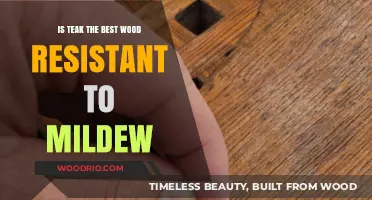 Teak's Mildew Resistance: Is It the Best Wood for Your Needs?