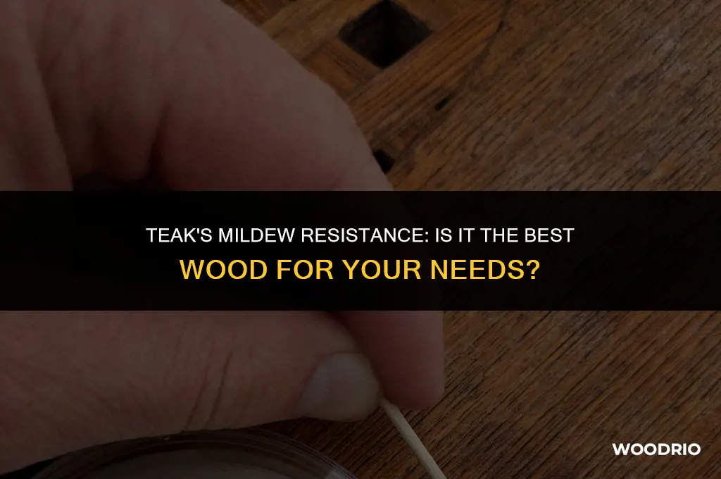 is teak the best wood resistant to mildew