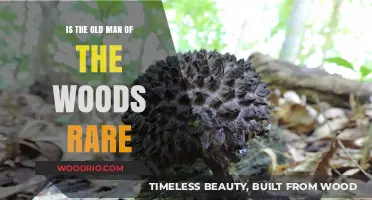 Is the Old Man of the Woods a Rare Fungus?