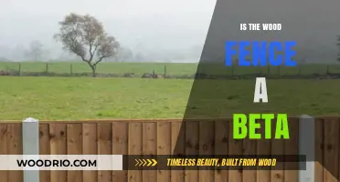 Exploring the Concept: Is the Wood Fence a Beta?