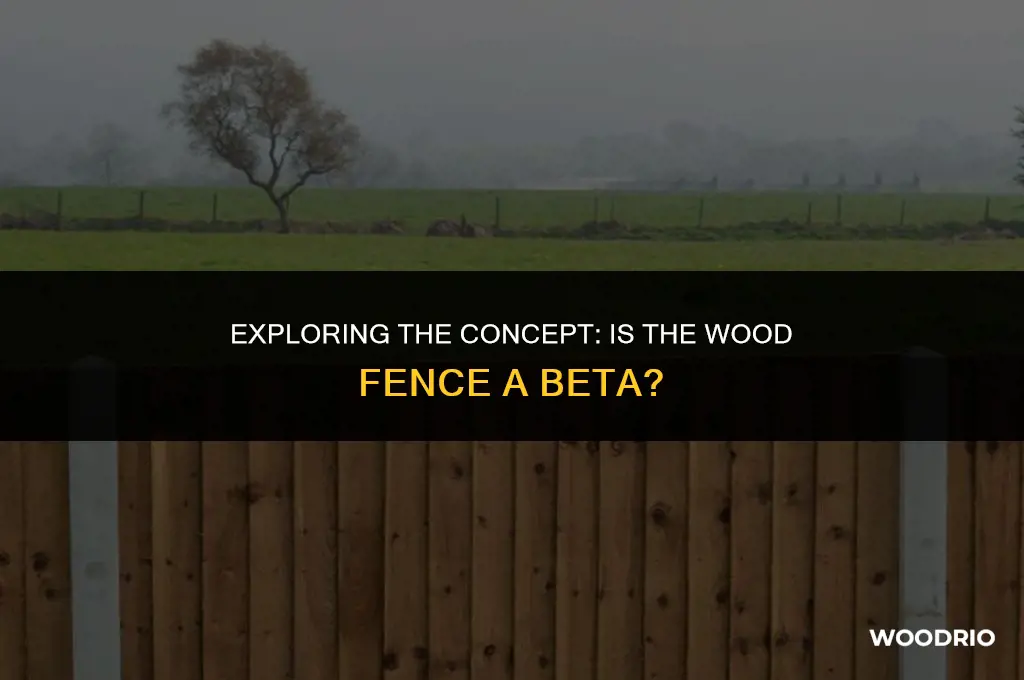 is the wood fence a beta