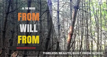 Unraveling the Mystery: Is the Wood from Will From?