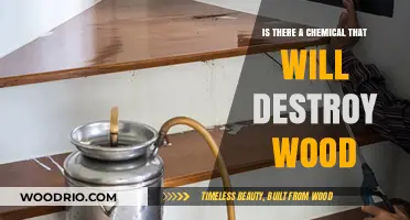 Unveiling the Truth: Chemicals That Can Destroy Wood
