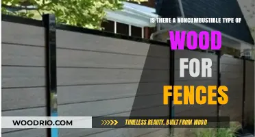 Exploring Non-Combustible Wood Options for Durable Fencing