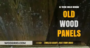 Hidden Dangers: Uncovering Mold Behind Old Wood Panels
