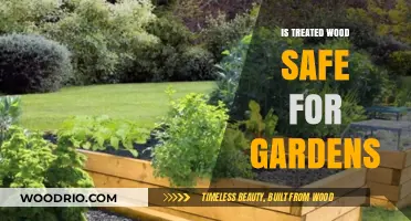 Exploring the Safety of Treated Wood in Garden Spaces