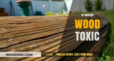 Unveiling the Truth: Is Treated Wood Toxic to Humans and Pets?