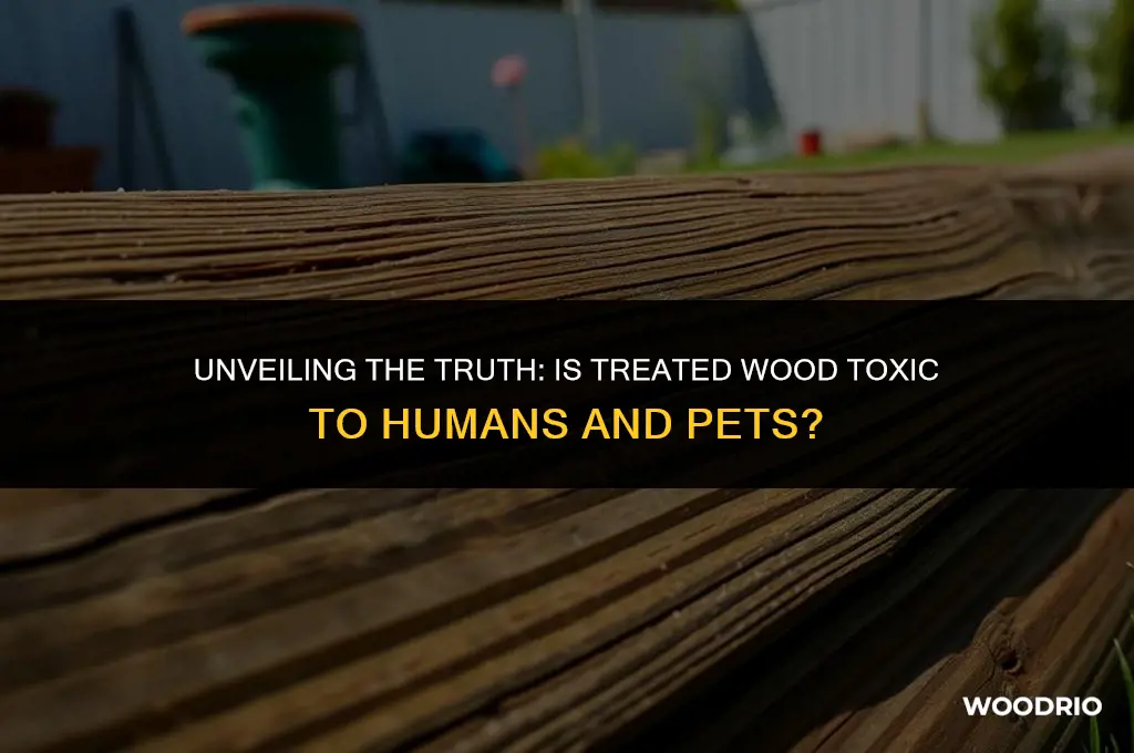 is treated wood toxic