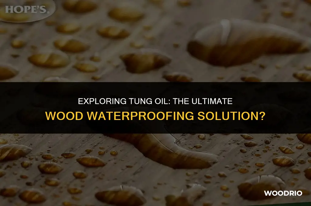 is tung oil best to waterproof wood