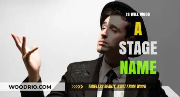 Exploring the Origins: Is Will Wood a Stage Name?