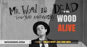Exploring the Enigma: Is Will Wood Still Among Us?