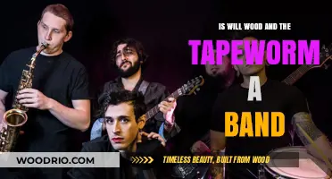 Exploring the Musical Journey of Will Wood and the Tapeworms