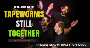 Will Wood and the Tapeworms: An Update on Their Musical Journey