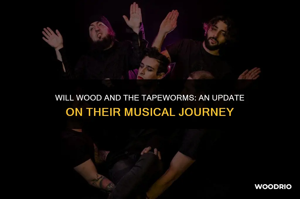 is will wood and the tapeworms still together