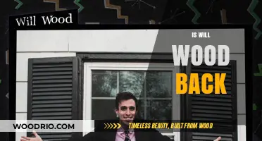 Will Wood's Return: Rumors and Speculations Surrounding the Iconic Actor