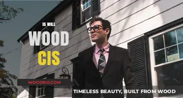 Exploring Gender Identity: Is Will Wood Cisgender?