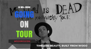 Will Wood's Tour Rumors: What We Know So Far