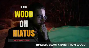 Exploring the Hiatus Speculations: Will Wood's Current Status Unveiled