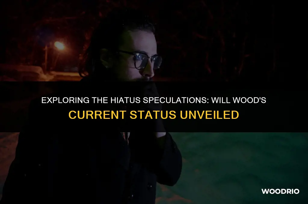 is will wood on hiatus