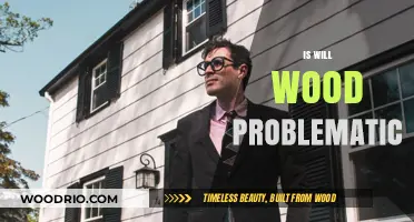 Exploring the Controversies Surrounding Will Wood: A Critical Analysis