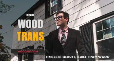 Exploring Identity: A Deep Dive into Will Wood's Gender Journey