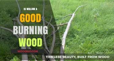 Exploring Willow's Potential as a Quality Firewood Choice