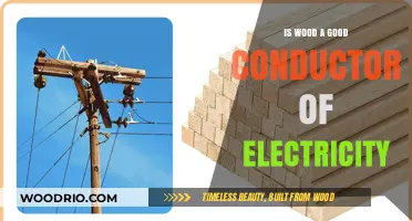 Exploring Wood's Electrical Conductivity: Facts and Myths