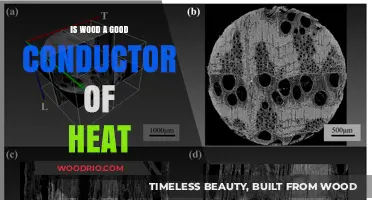 Exploring Wood's Thermal Conductivity: Is It a Good Heat Conductor?