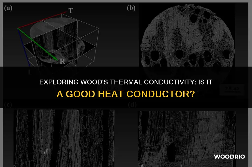 is wood a good conductor of heat