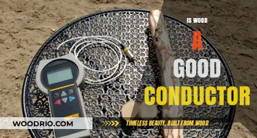 Exploring Wood's Conductivity: Is It a Good Conductor?